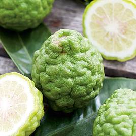 Kaffir Lime (Citrus Fruit)