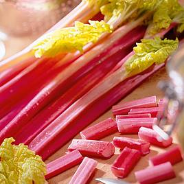 Rhubarb Seeds - Victoria