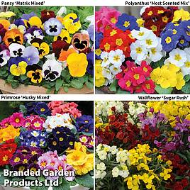 Garden Ready Autumn Collection