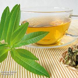 Lemon Verbena