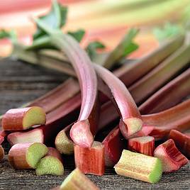 Rhubarb Sanvitos® Early