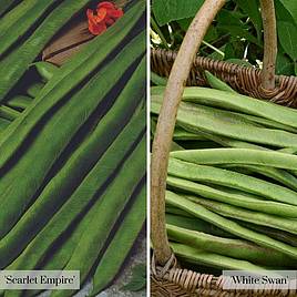 Runner Bean Duo Mixed