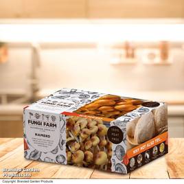 Fungi Farm Mushroom Windowsill Kit - Nameko