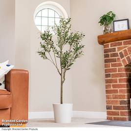 Artificial Olive Tree