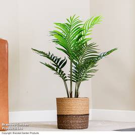 Artificial Palm Tree