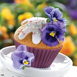 Pansy Tasty F1 Hybrid
