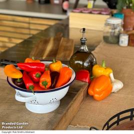 Sweet Pepper Super Snack Yellow