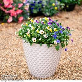 Garden Gear - Slate Ivory Diamond Planter