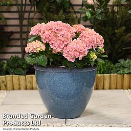 Garden Gear - Glazed Effect Planter