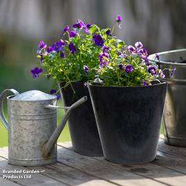 Octavia Slate Garden Planters
