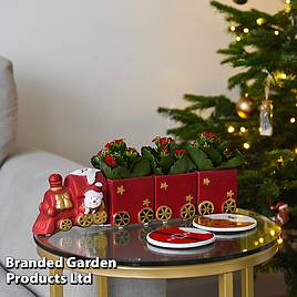 Train Set - Gift
