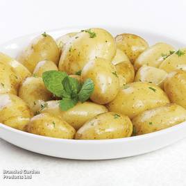 Potato Jazzy