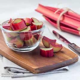 Rhubarb Victoria (Spring/Autumn Planting)