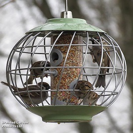 The Nuttery Squirrel-Proof Helix Seed Feeder Celadon Green