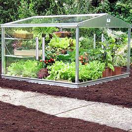 Cold Frame