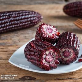 Sweetcorn Double Red - Seeds