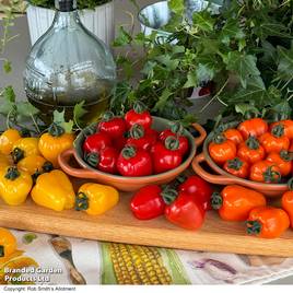 Tomato Appleberry Trio
