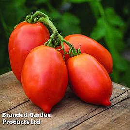 Tomato Big Mama F1 - Seeds