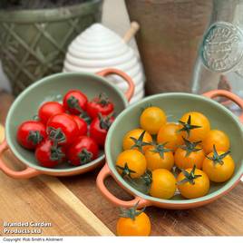 Tomato Honey Duo