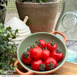 Tomato Honey Manuka