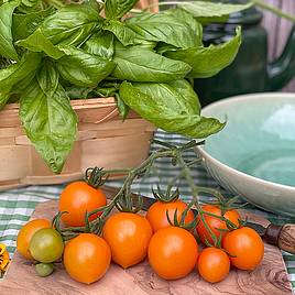 Tomato Merrygold F1 - Seeds