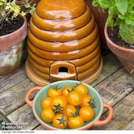 Tomato Honey Nectar