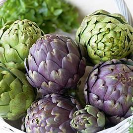 Globe Artichoke Duo