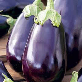 Aubergine Seeds - Black Beauty