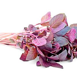 Sprouting Basil Dark Opal - Seeds
