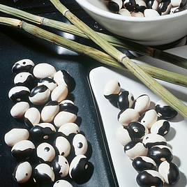 Bean (Dwarf French Kidney) Seeds - Yin Yang