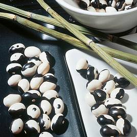 Dwarf French Kidney Bean Yin Yang - Seeds
