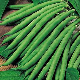 Bean (Climbing French) Seeds - Cobra