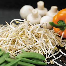 Beansprouts (Mung Bean) - Seeds