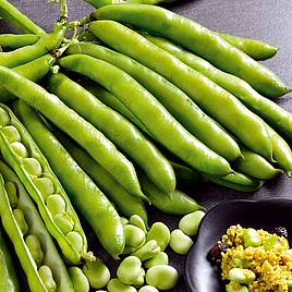 Bean (Broad) Seeds - Masterpiece Green Longpod