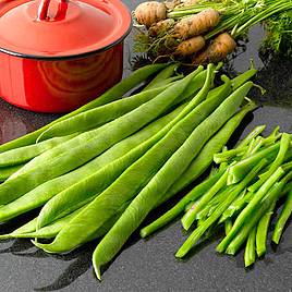 Runner Bean Benchmaster - Seeds