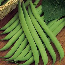 Dwarf French Bean Sprite - Seeds
