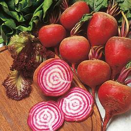 Beetroot Seeds - Chioggia