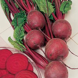 Beetroot Seeds - F1 Pablo