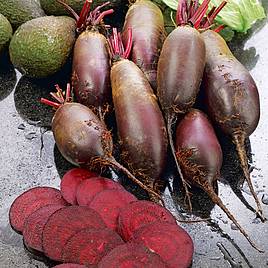 Beetroot Seeds - Cylindra