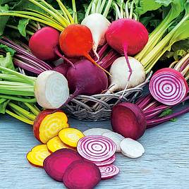 Beetroot Rainbow Mix - Seed Tape