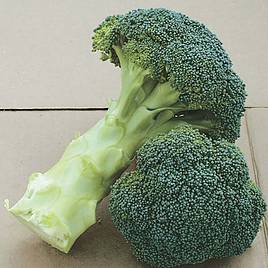 Broccoli (Calabrese) Continuity Collection