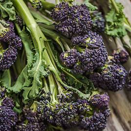 Broccoli Seeds - Purple Sprouting Continuity Mix