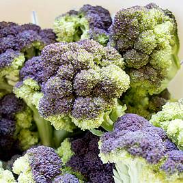 Broccoli Jacaranda