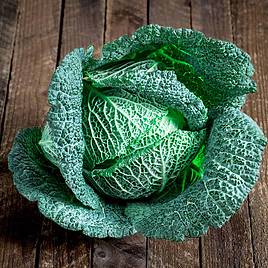 Cabbage Cordesa (Autumn Savoy)