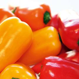 Sweet Pepper Blockie Mix F1 - Seeds