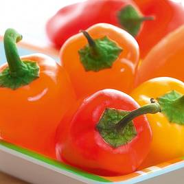 Pepper F1 Snackbite Mix - Seeds