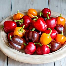 Sweet Pepper Sweetonia Mix - Seeds