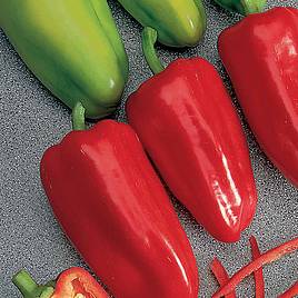 Sweet Pepper Gypsy F1 - Seeds