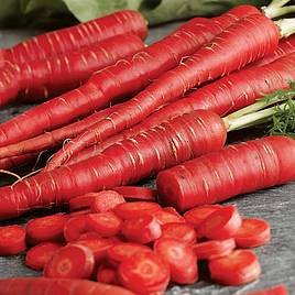 Carrot Samurai - Seeds