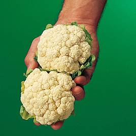 Cauliflower Seeds - Igloo